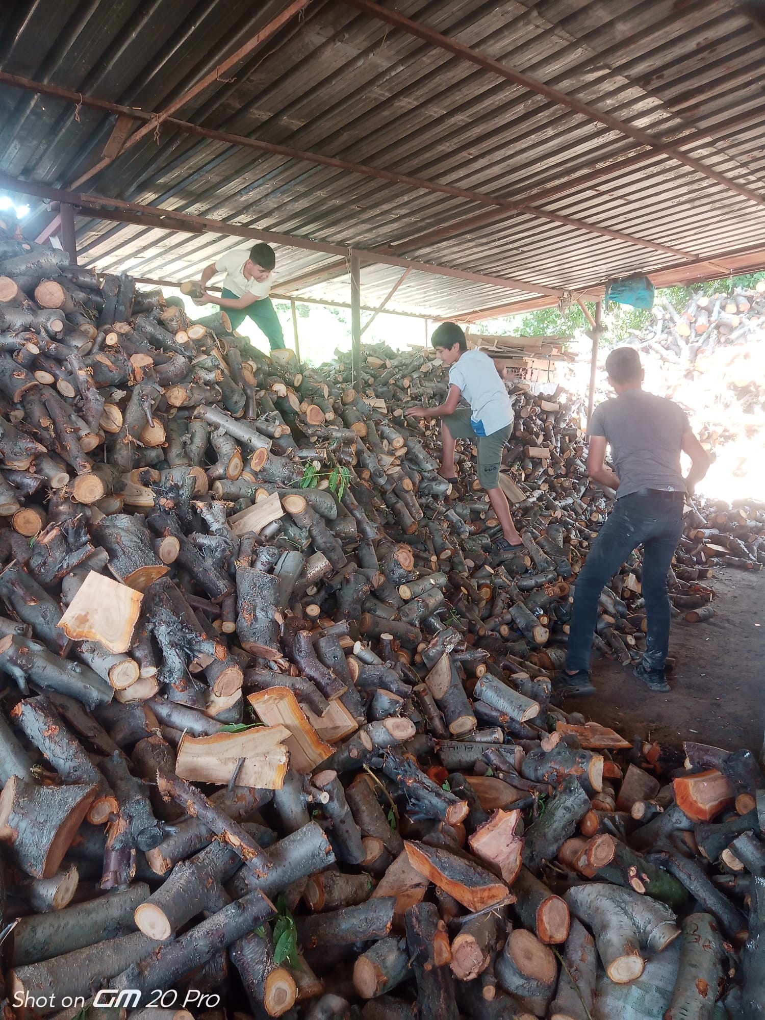 Arık Odunculuk 05342986752 Tarsus