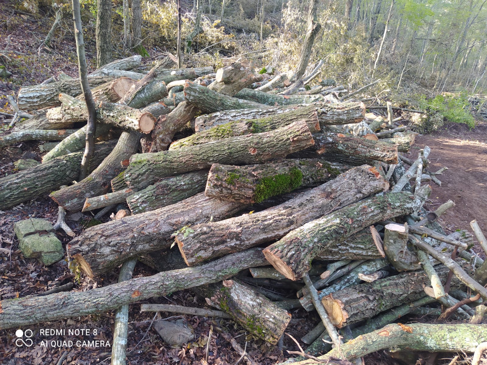 Arık Odunculuk 05342986752 Tarsus