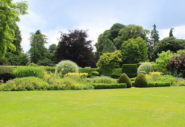 ATA BAHÇE HAVUZ BAKIM & TEMİZLİK >05305273127< MUĞLA