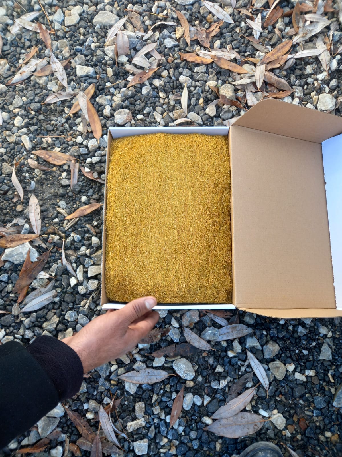 Doğruluk Ticaret Hasbitlis Tütünleri >05305587213< BİTLİS