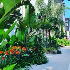 ŞANLI ESER ORGANİZASYON & PEYZAJ 