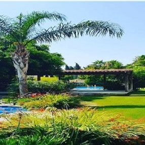 ŞANLI ESER ORGANİZASYON & PEYZAJ 