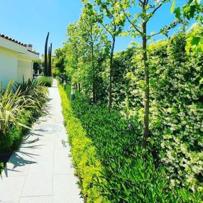 ŞANLI ESER ORGANİZASYON & PEYZAJ 